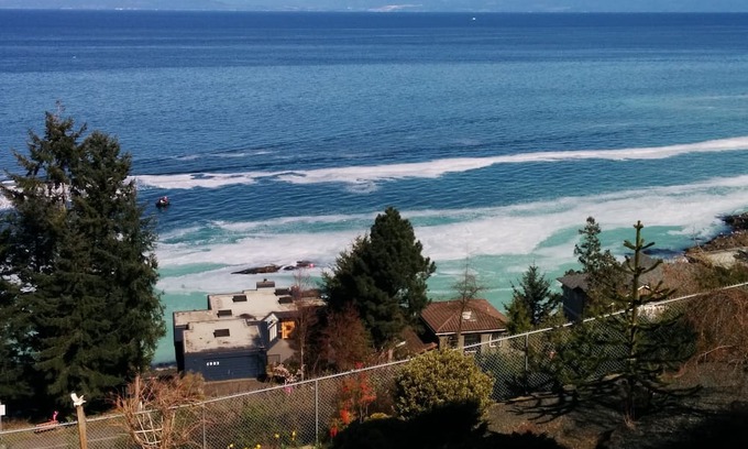 Regional District of Nanaimo Apartment | Big Vista Panoramic Cruise-ship-View Suite. Minutes from the beach!