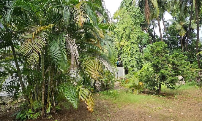 Alibaug Hotel | Prabhukrupa Tourist Farm