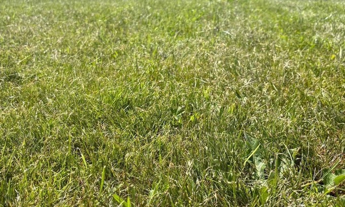 Fazouro Cabin | Cabañas Camiño do Mar