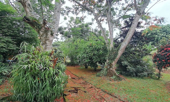 La Vega Province House | Enjoy the Peace and Nature of Jarabacoa