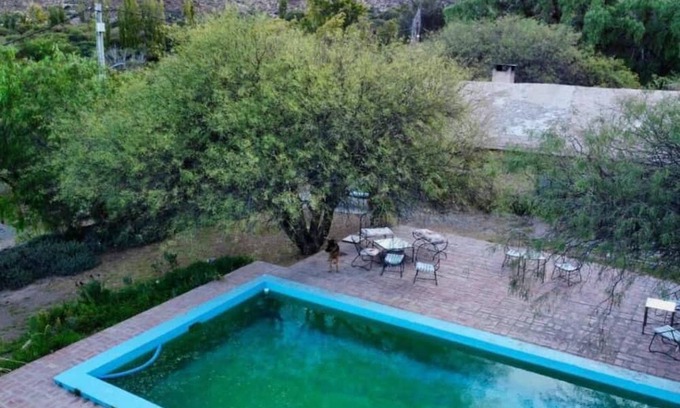 Cachi Other | Finca La Paya