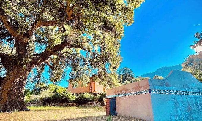Nueva Ensenada Cabin | Casita de Adobe: Escape to the Sierra and Disconnect