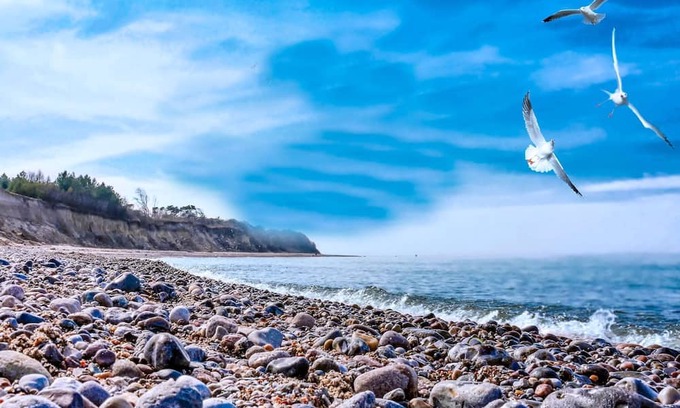 Bakenberg Apartment | Bungalow Village Sea or Less - Category 1 No. 9 - Ferienpark Bakenberg