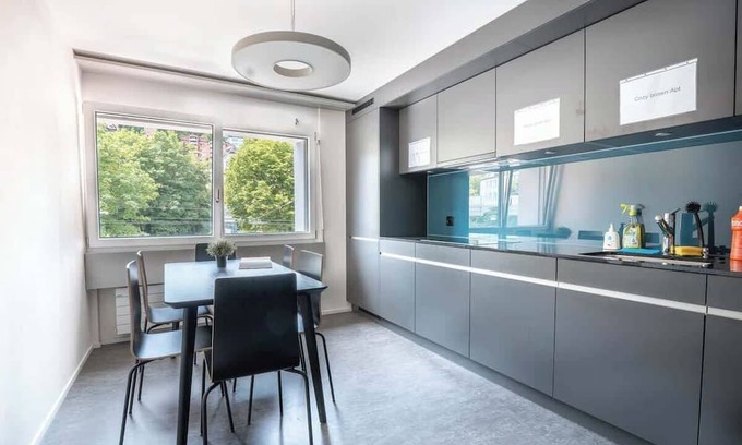 St. Gallen Apartment | Studio cozy brown (1) with shower and kitchen for shared use