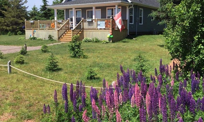 Darnley Cottage | Cosy well equipped Cottage minutes walk to Thundercove Beach.