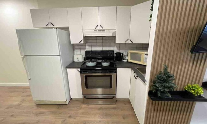 De Lorimier Apartment | Updated 2 Bedroom Apartment in Plateau