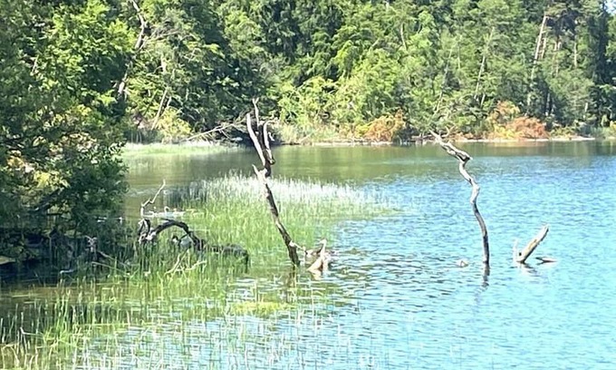 Muritz House | Tamika ball house at Lake Tollense