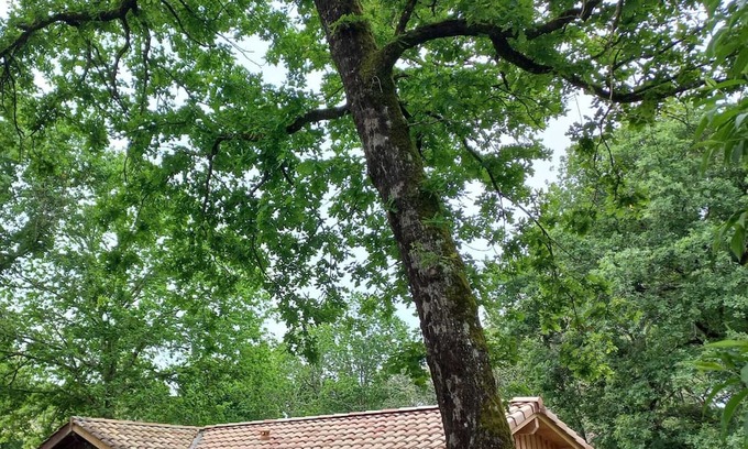 Mios House | Vrbo Property