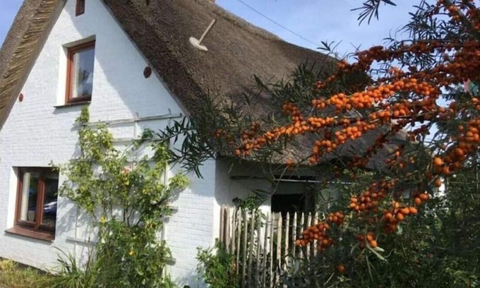 Groven House | The little thatched cottage
