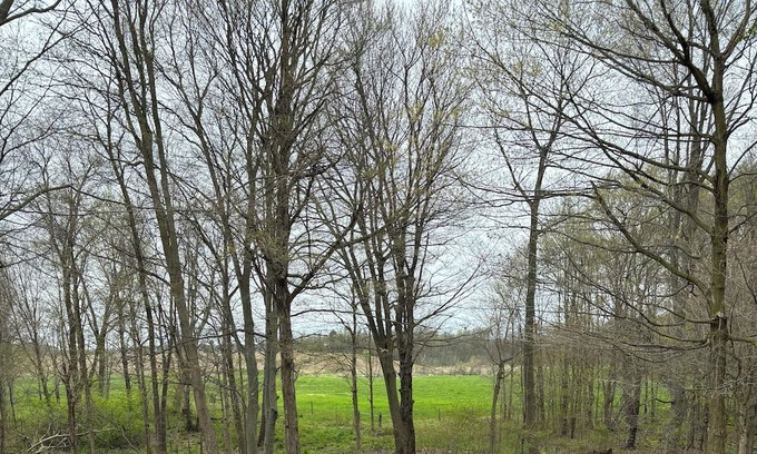 Decatur House | Country house with 3 bedrooms and 2 bathrooms. Several acres of woods to hike.