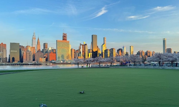 Hunters Point Apartment | Great one bedroom studio in a great neighborhood.