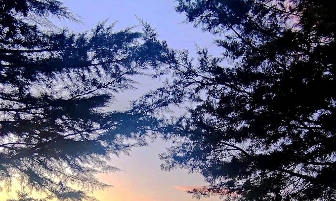 Tarouca Cottage | Casa Florestal @quintafelizardas