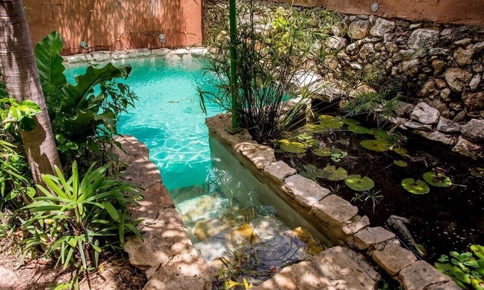 Barrio de Santiago Hotel | Casa de los Xolos