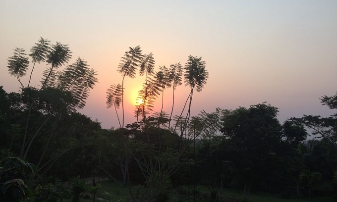 Aburi Bed & Breakfast | Cosy, personal, family-friendly nature retreat surrounded by trees and fresh air