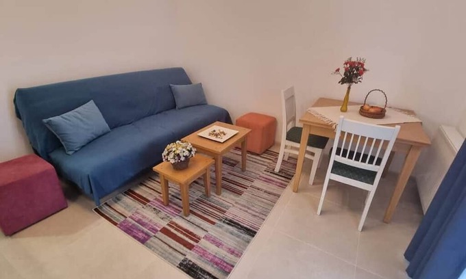 Tractorul Apartment | Bella Vista Studio w/ courtyard view, terrace