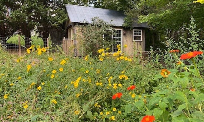 Court House Cabin | Creek View Cabin at Skipwillow Farm