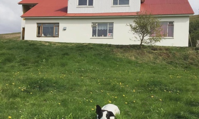 Adaldalur House | Öndólfsstaðir Farm B&B