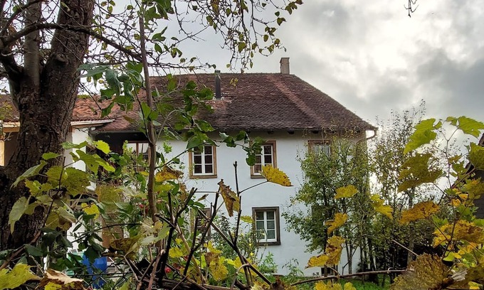 Liesberg Apartment | Flat "Giselas Ruheplatz"