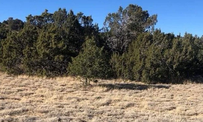 Walsenburg RV Rental | This property is no longer available for use.