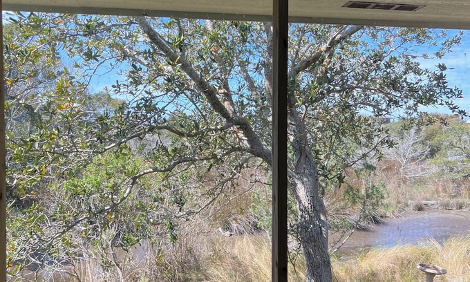 Ocracoke Cottage | Birdland: Private tiny house with marsh views and kayak access