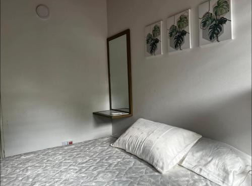 La Dorada House | Aluna