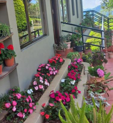 Coonoor House | RINKOOS MOUNTAINS & mist