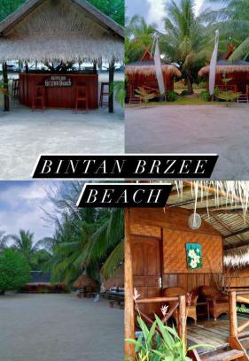 Berakit Cabin | Bintan Brzee Beach in Bintan Island - Bungalow 2